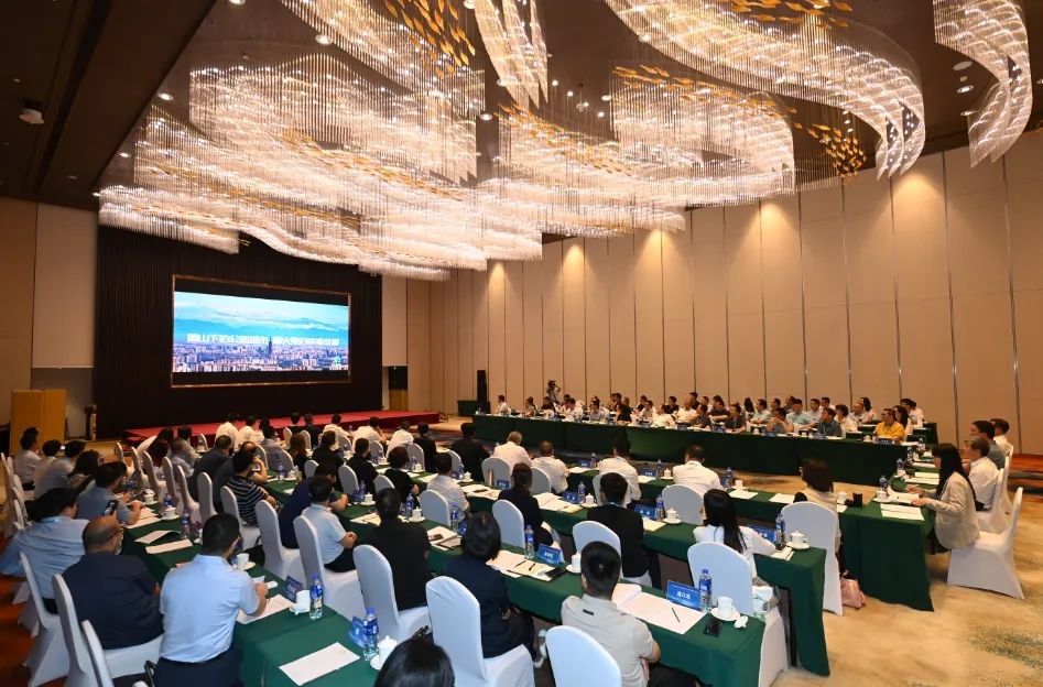 1719814614936285.jpg 2.jpg